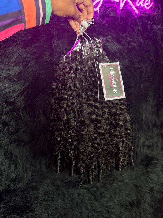 Burmese Curly